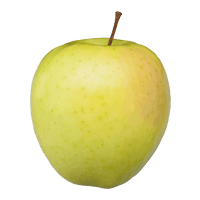 سیب زرد ممتاز